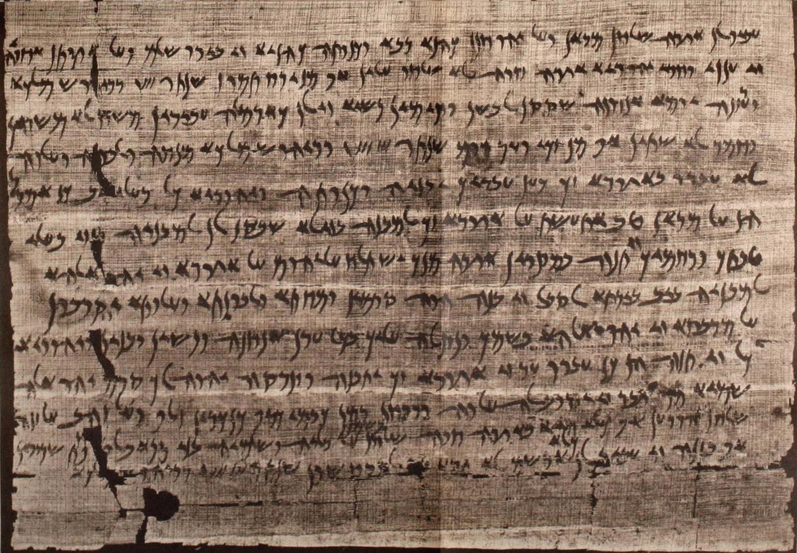 A wide papyrus sheet covered in fifteen lines of dark, flowing Aramaic handwriting, torn at the left edge.