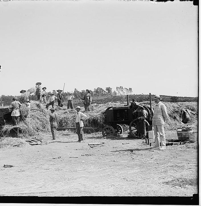 A 1920s black-and-white photograph of workers at a Jewish agricultural colony bringing in the grain harvest, with a mechanical thresher and piles of straw.