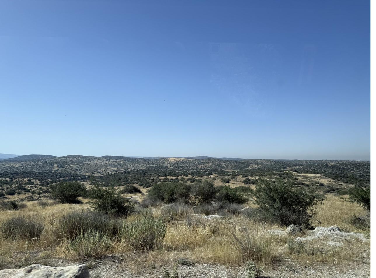 A color photograph of the Judean Hills, rolling, terraced limestone slopes under a pale sky.