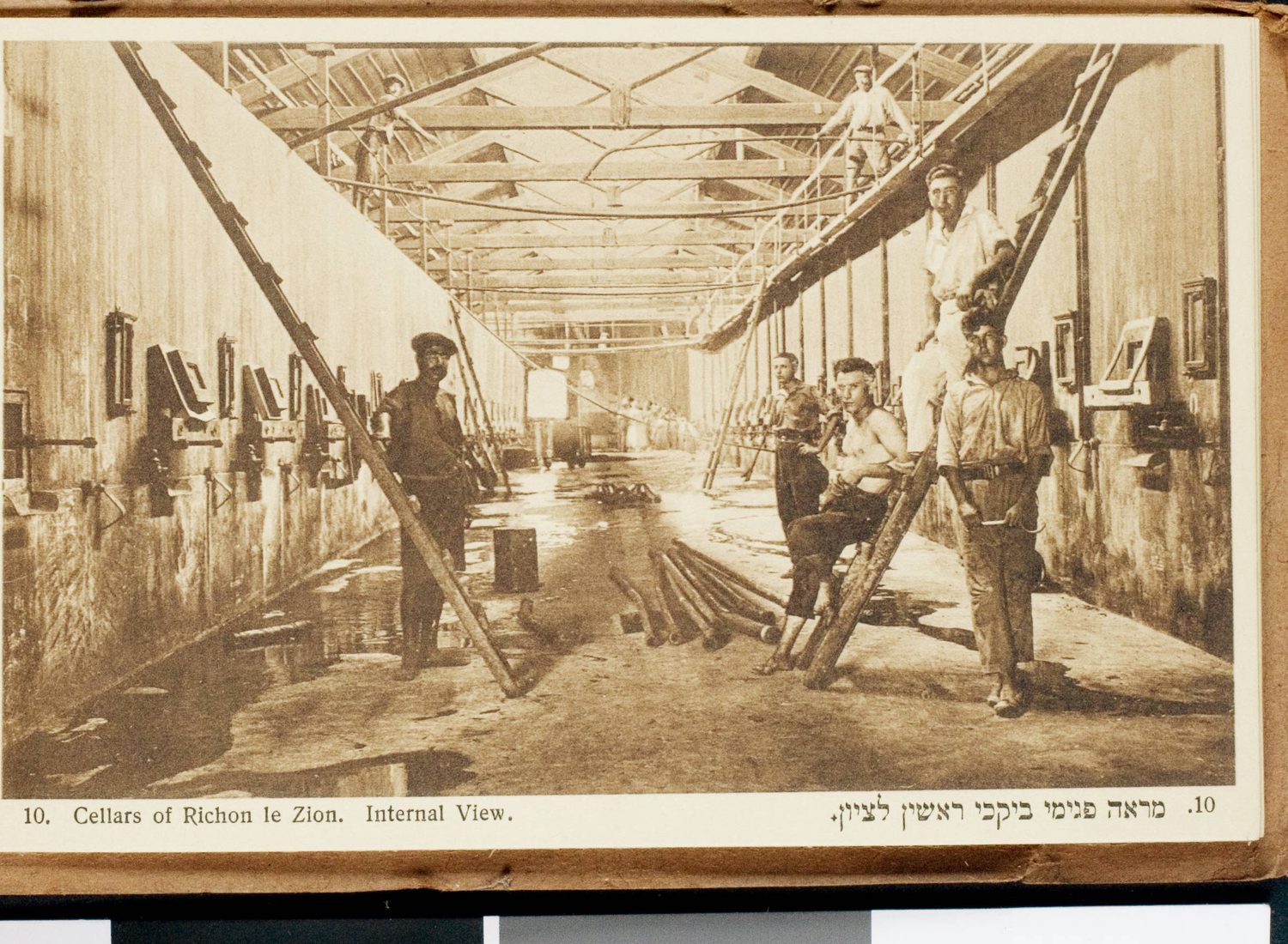 A sepia postcard captioned Cellars of Richon le Zion, showing workers among rows of large wine vats in a long cellar hall.